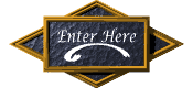 ENTER THE SITE